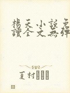 杨天小说免费阅读全文无弹窗