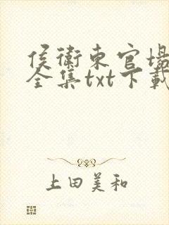 侯卫东官场笔记全集txt下载