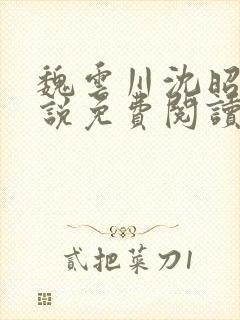 魏云川沈昭禾小说免费阅读笔趣阁