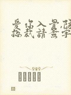 爱你入骨,隐婚总裁请签字完整版