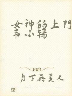 女神的上门豪婿韦小鸨