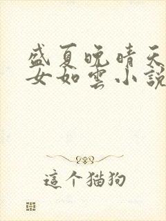 盛夏晚晴天之美女如云小说