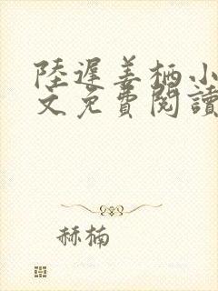 陆迟姜栖小说全文免费阅读