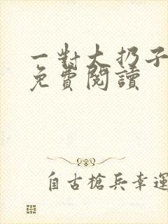 一对大扔子小说免费阅读
