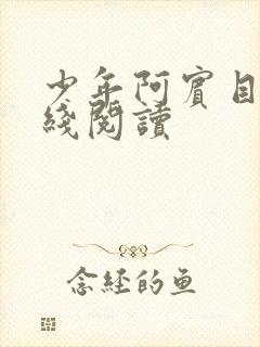少年阿宾目录在线阅读