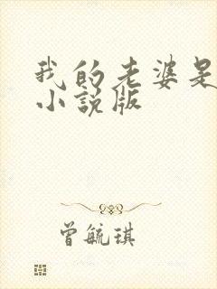 我的老婆是总裁小说版封面
