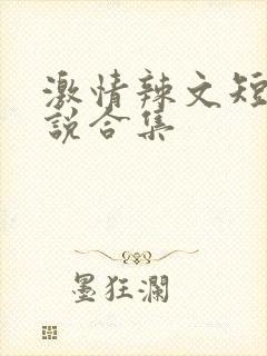 激情辣文短篇小说合集封面