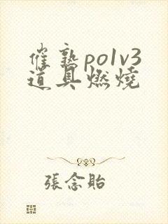 催熟po1v3道具燃烧封面
