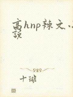 高hnp辣文小说封面