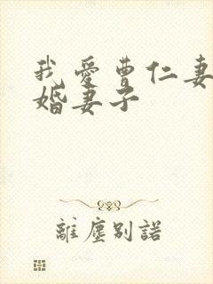 我爱曹仁妻 新婚妻子封面