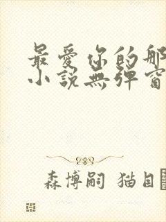 最爱你的那十年小说无弹窗封面