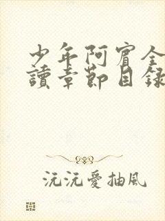 少年阿宾全文阅读章节目录