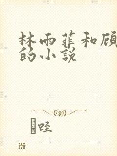 林雨菲和顾北潇的小说