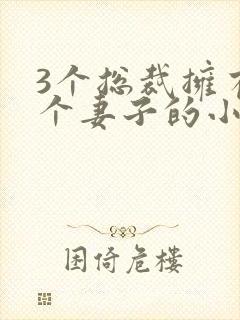 3个总裁拥有一个妻子的小说封面