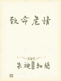 致命危情封面