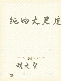 纯肉大尺度小说