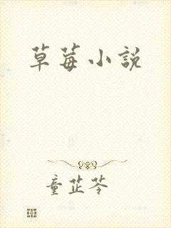 草莓小说封面