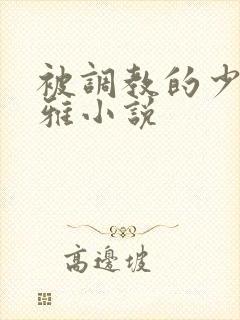 被调教的少妇张雅小说