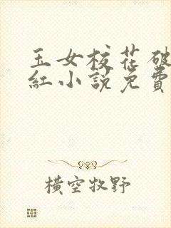 玉女校花破瓜落红小说免费阅读封面
