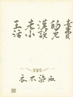王老汉的幸福生活小说免费阅读全文封面