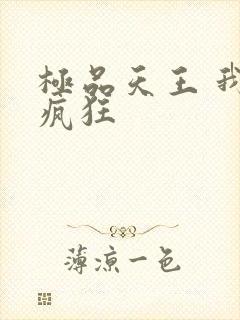 极品天王 我本疯狂封面