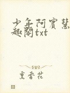 少年阿宾慧钰笔趣阁txt