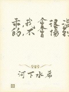 乖,我会很温柔的,不会伤到你小说封面