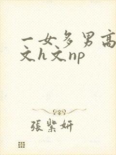 一女多男高辣h文h文np