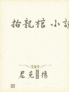 抬龙棺 小说