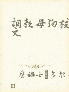 调教母狗校花h文封面
