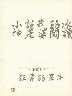 小说我的冰山女神老婆阅读