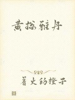 黄总雅丹封面