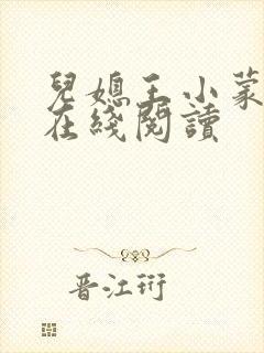 儿媳王小蒙小说在线阅读
