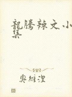 龙腾辣文小说合集