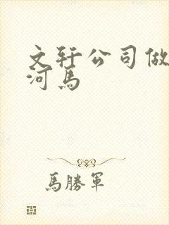文轩公司做扩张河马封面