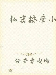 私密按摩小说