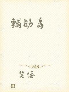 辅助岛