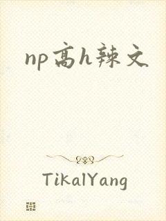 np高h辣文