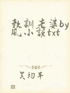 教训老婆by火风小说txt