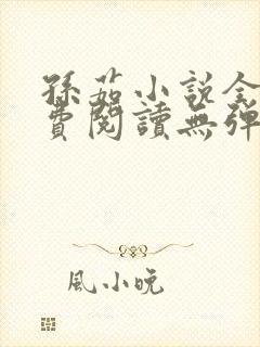 孙茹小说全文免费阅读无弹窗