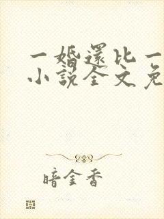 一婚还比一婚高小说全文免费阅读
