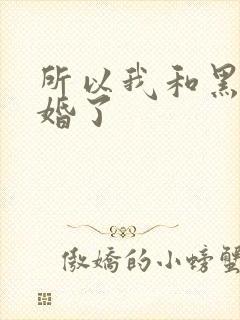 所以我和黑粉结婚了封面