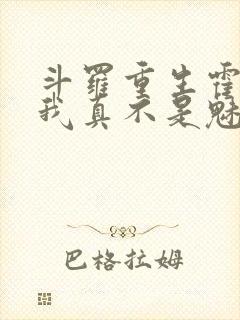 斗罗重生霍雨浩我真不是魅魔笔趣阁免费