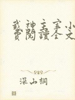 武神主宰小说免费阅读全文无弹窗