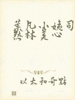 叶凡小姨司空嫣然林美心