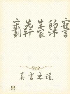 宋先生的宠妻计划轩家沐言