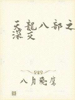 天龙八部之极乐深交