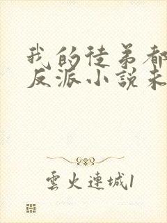 我的徒弟都是大反派小说未删减完整版
