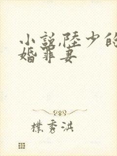 小说,陆少的隐婚罪妻封面