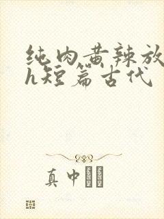 纯肉黄辣放荡高h短篇古代封面